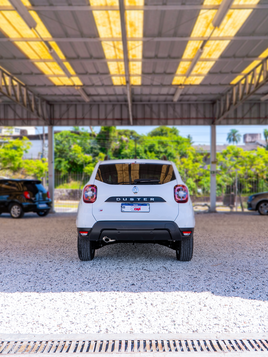 
Renault DUSTER 2024/2024 completo									