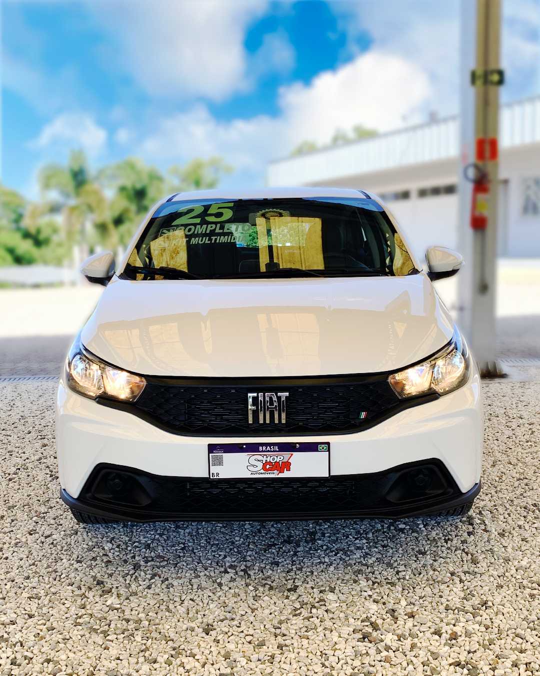 
Fiat Argo 2024/2025 completo									